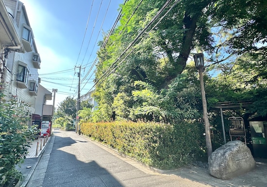 右の森が庭園です