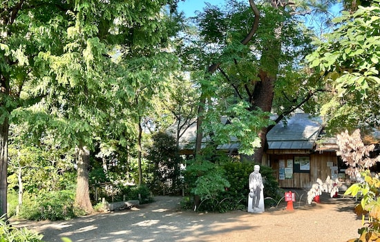 生前の牧野博士の等身大ポップも飾られていました