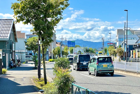 幹線道路＋住宅街＋街路樹＋遠方に山麓という、これぞ多摩地域という風景