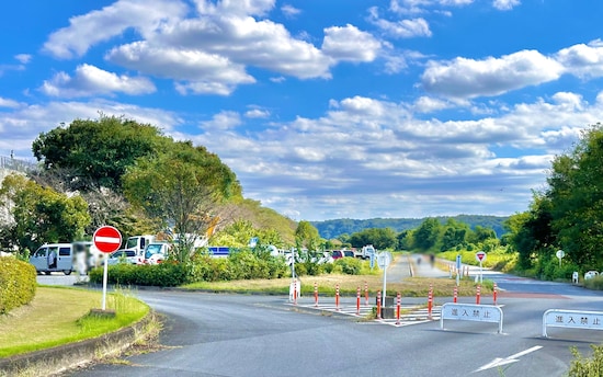 公園の入口から撮影