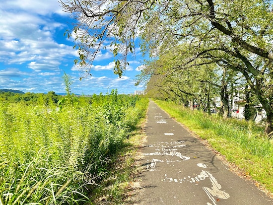 秋の多摩川を横目にサイクリングすると気持ちよさそうですね