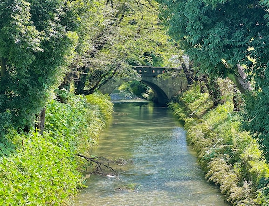 日光橋と玉川上水