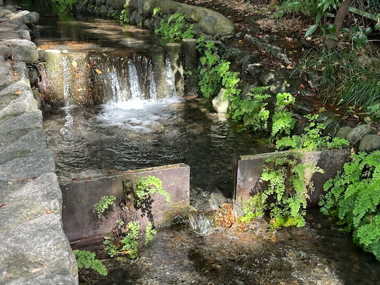 水がたいへん澄んでいて、別の場所では小魚も泳いでいました