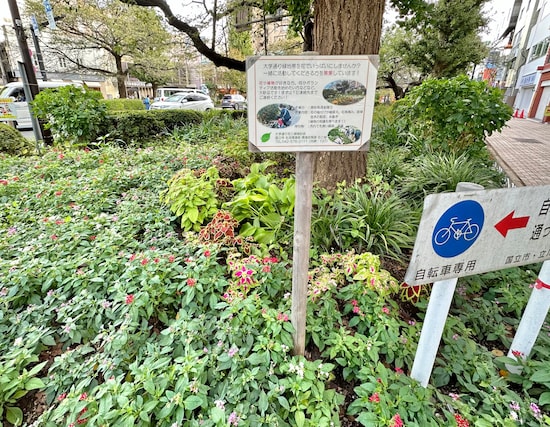 これだけ立派な通りだと、街路樹・植え込み・花壇の手入れもかなりの労力になりそう