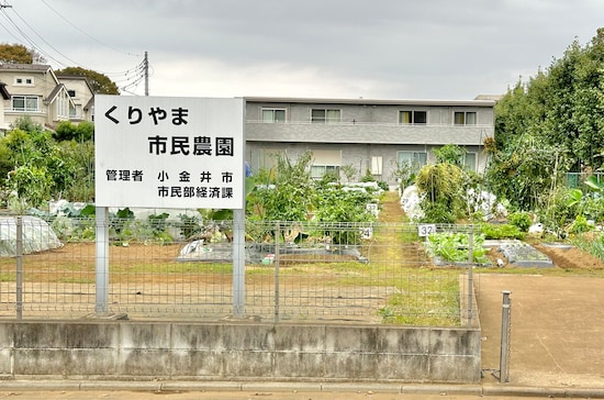 この日も数人が農作業に勤しんでいました