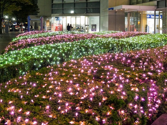 けやき通り側の植栽にもポップでキュートなイルミネーションが光り輝く