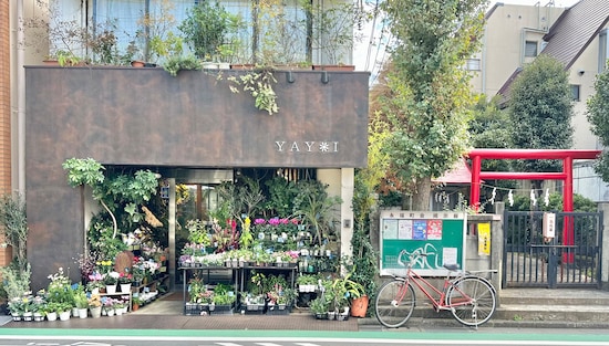 ミニ鳥居の隣にある花屋に、どことなく「花手水（はなちょうず）」を連想します