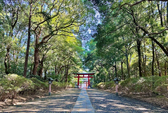 大宮八幡宮の参道