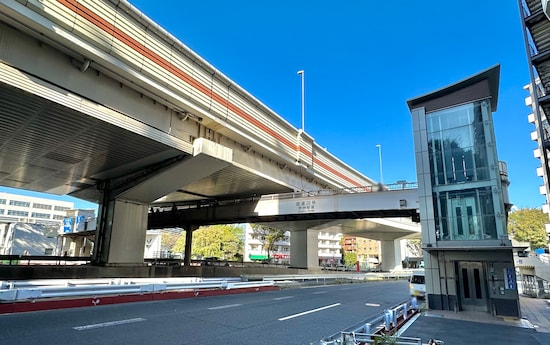 こういう幹線道路でよく見られる大型の歩道橋