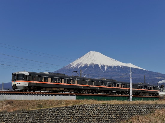 富士山をバックに快走する「特急ふじかわ」（写真提供＝JR東海）