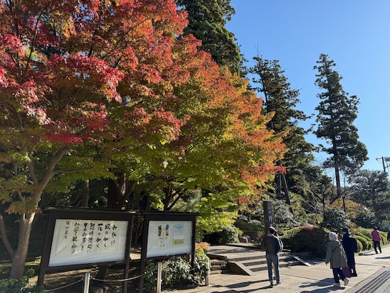 北鎌倉の円覚寺総門前の紅葉