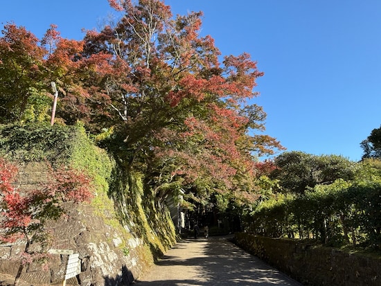 建長寺「半僧坊道」の紅葉