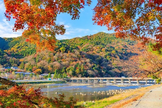 京都の紅葉（画像出典：プレスリリース）