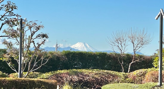 富士山を見ながらくつろいでいられます