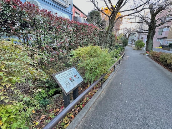 世田谷代田駅～下北沢の緑道に比べると、なんともローカルな印象