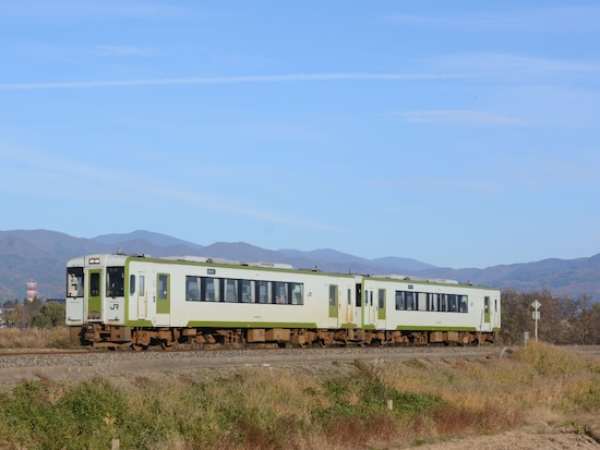 JR東日本の非電化ローカル線ではおなじみのキハ110系ディーゼルカー