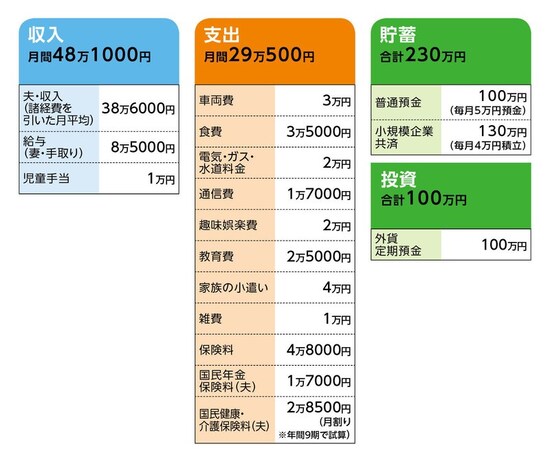 相談者「リー」さんの家計収支データ