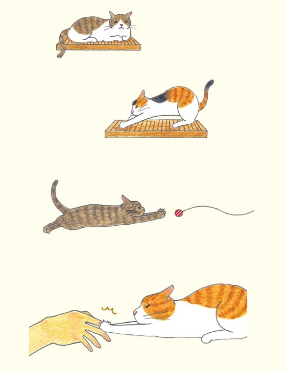 画像出典：『猫のいる家に帰りたい』（仁尾智・著、小泉さよ・イラスト／辰巳出版）