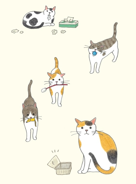 画像出典：『猫のいる家に帰りたい』（仁尾智・著、小泉さよ・イラスト／辰巳出版）