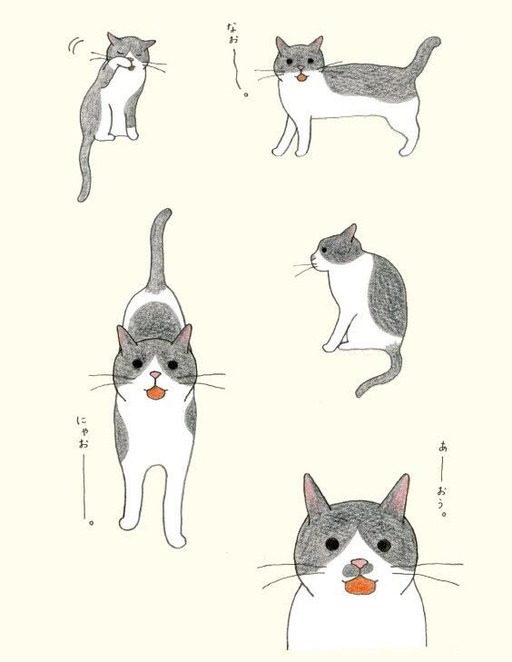 画像出典：『猫のいる家に帰りたい』（仁尾智・著、小泉さよ・イラスト／辰巳出版）
