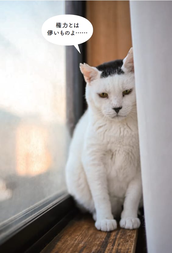 画像出典：『磯辺海苔男という猫』（辰巳出版）