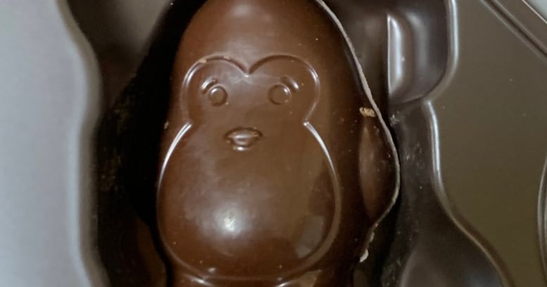 【謎】このチョコレートはペンギンかゴリラかどっちでしょうか…？→ さすがTwitter！ リプにて正体が明らかに