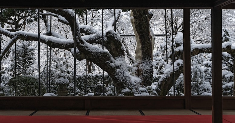 銀世界を背景にした『京都宝泉院』の雪景色が素晴らしいと話題に…「心が引き締まるよう」「言葉が見つからない」