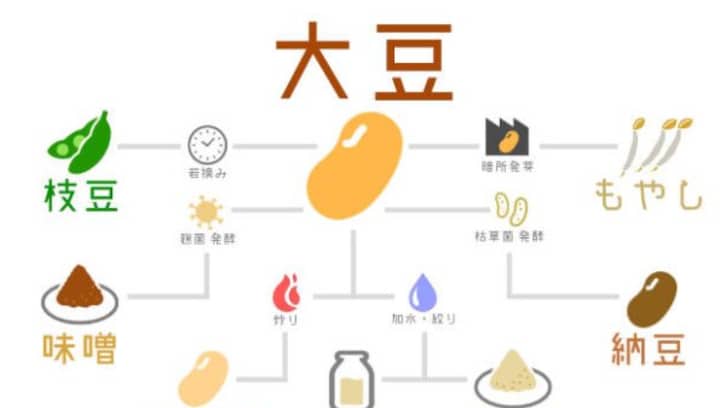 「まさに"豆"知識」大豆製品を一覧にしてみたら、日本人の大豆への信頼度がハンパじゃないことが分かった