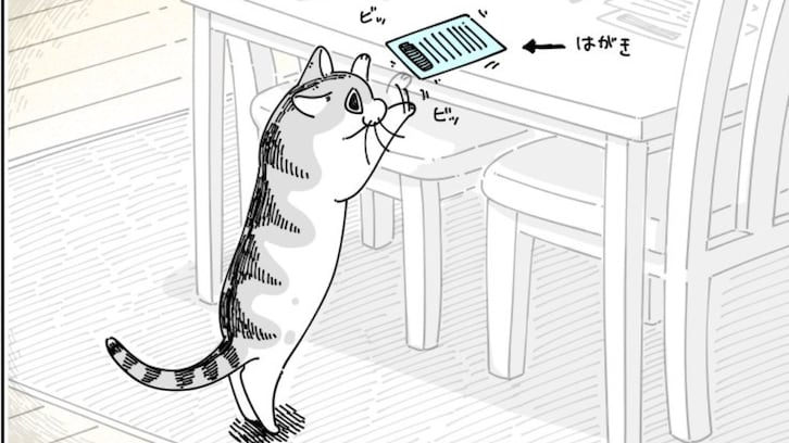 【謎】机の上のハガキをビッビッする猫。何をしているんだろうと思って見ていると… "驚きの事実" を知ってしまう