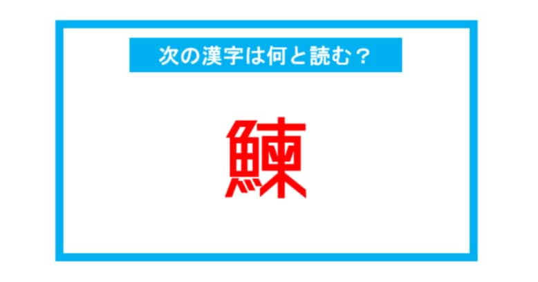 【魚編の漢字】「鰊」←この漢字、何と読む？（第216問） 