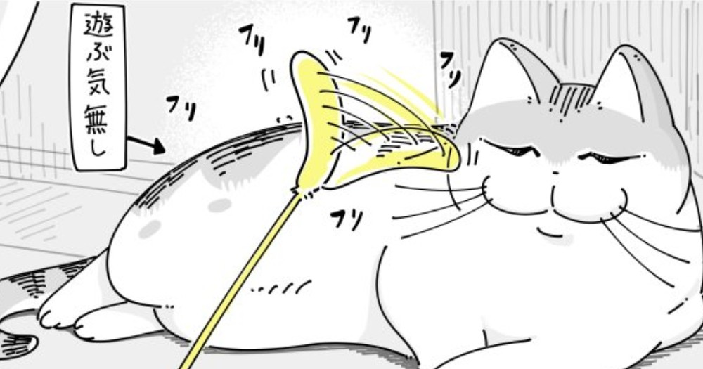 ネコじゃらしで猫を誘ってみたが遊ぶ気分じゃないようで…その後垣間見えた"こだわり" に癒される