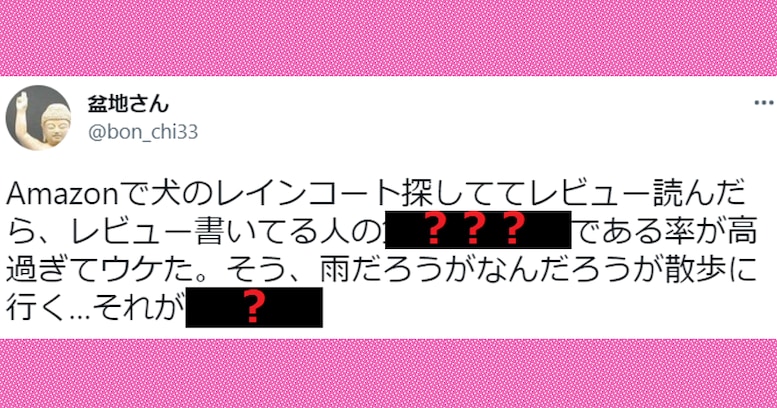 Amazonで犬のレインコートの商品レビューを読むと高確率で…驚きの "共通点" が話題に！