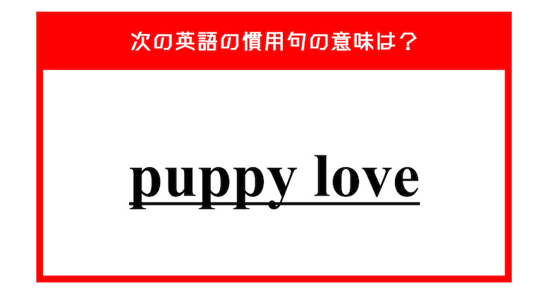 "puppy love" 恋愛に関するこの英語慣用句、意味は分かりますか？