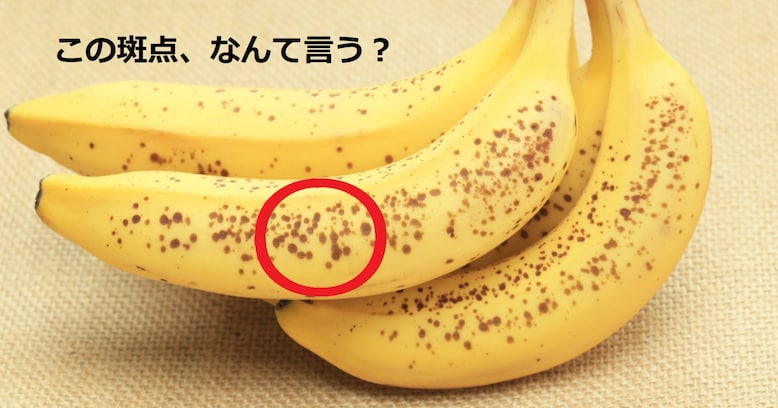 【なんて言う？】バナナの皮に現れる黒い斑点の正式名称は？（第12問）