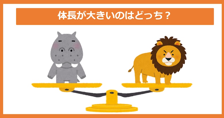 【体長が大きいのどっち？】カバ vs ライオン