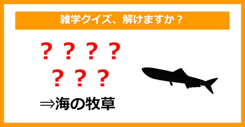 【雑学クイズ】「海の牧草＝〇〇〇〇〇〇〇」空欄に入るのは？（第18問）