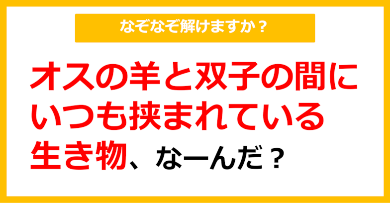 【なぞなぞ】オスの羊と双子にいつも挟まれている生き物、なーんだ？（第43問）