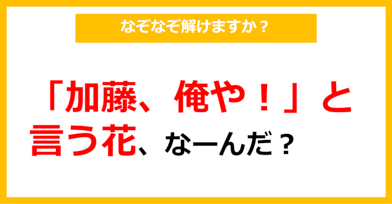 【なぞなぞ】「加藤、俺や！」と言う花、なーんだ？（第54問）