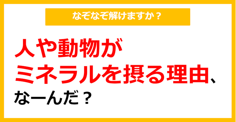 【なぞなぞ】人や動物がミネラルを摂る理由、なーんだ？（第55問）