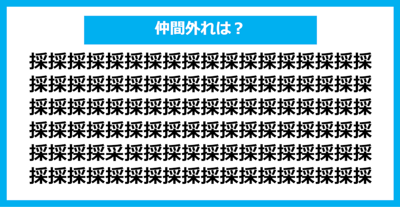 【漢字間違い探しクイズ】仲間外れはどれ？（第997問）