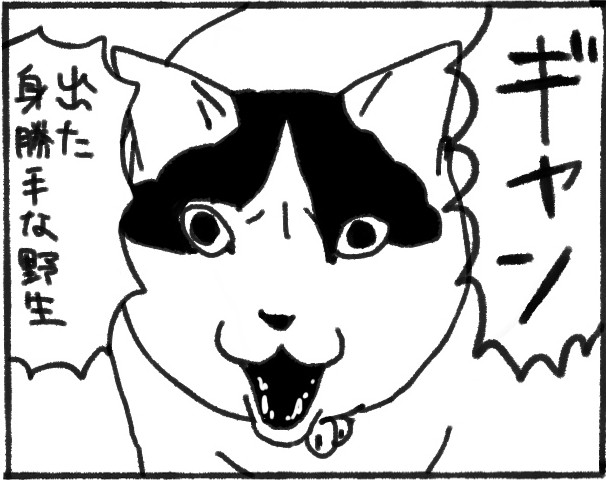 猫が何をしても鳴きやまない理由は…？ 身勝手極まる姿に「読めないぜ、その心」