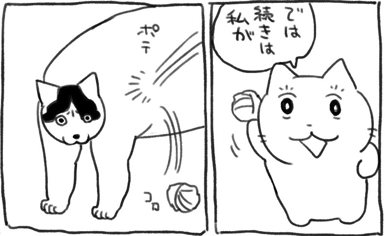 その反応、辛辣すぎ…？ 猫の遊び相手を交代したらあまりの露骨さに笑いが止まらない