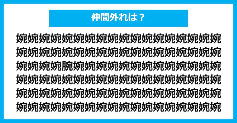 【漢字間違い探しクイズ】仲間外れはどれ？（第1538問）