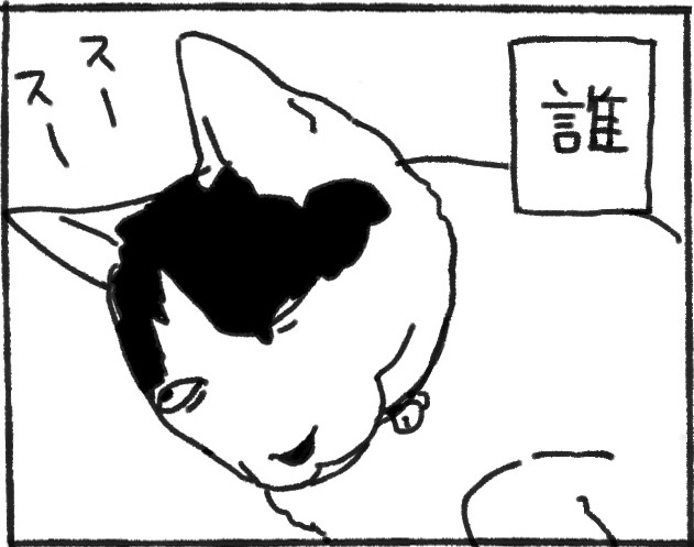 白目を剥いて眠る猫にびっくり…?!「誰」「スタンプに欲しい」「そんな顔も愛おしい」