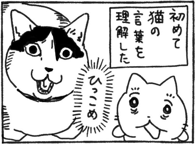 「かわいいね」と言ったのに「ひっこめ」!? 猫のまさかの塩反応に「これは酷い」「可哀想」