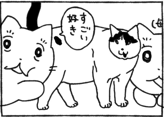 母とイチャイチャする猫に嫉妬して…無理やり邪魔した結果、悲しい結果に【そして誰もいなくなった】