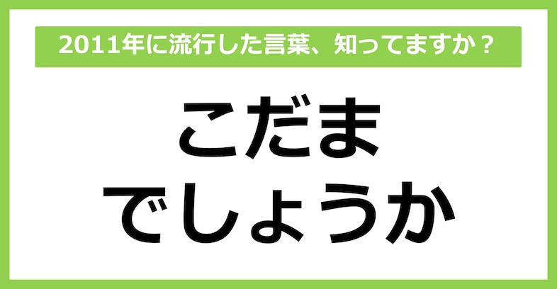 【懐かしい】2011年に流行した言葉、知ってる？（第44問）