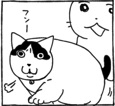 "指示待ち飼い主" に怒り心頭⁉ 「いちいち教えないと動けない？」とでも言いたげな猫が偉そうで可愛い…