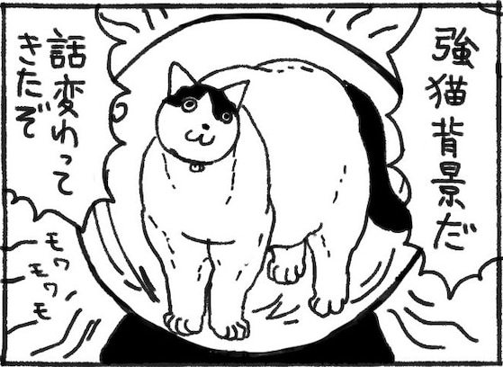 猫が映るとご利益あるかも?! 演出過多な占い屋さんに「通ってしまいそう」「可愛い」