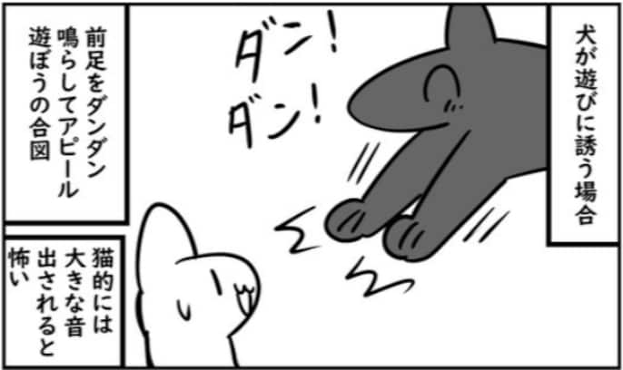 猫と犬は正反対？ なぜか噛み合わない理由に「慣れも必要」「相性も大事」